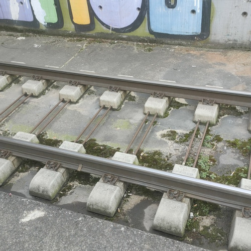 Bemoost fahrbahn-1