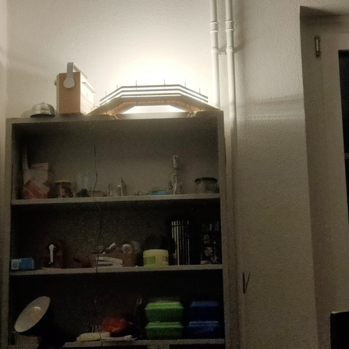 lampe-fern