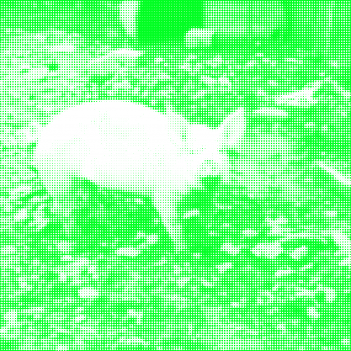 schwein-halftone-green schwein-halftone-green