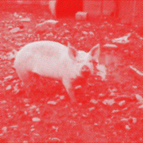 schwein-halftone-red schwein-halftone-red