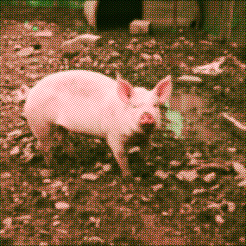 schwein-halftone-redgreen schwein-halftone-redgreen